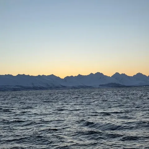The Arctic sea below snow-covered peaks