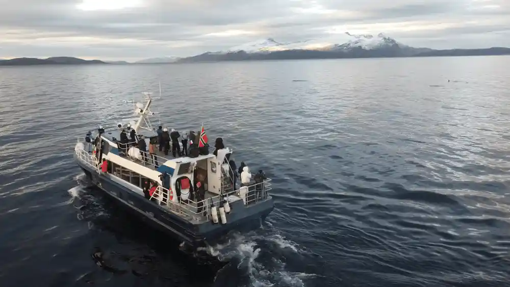 The boat under way with passengers along the rail and a Norwegian flag astern