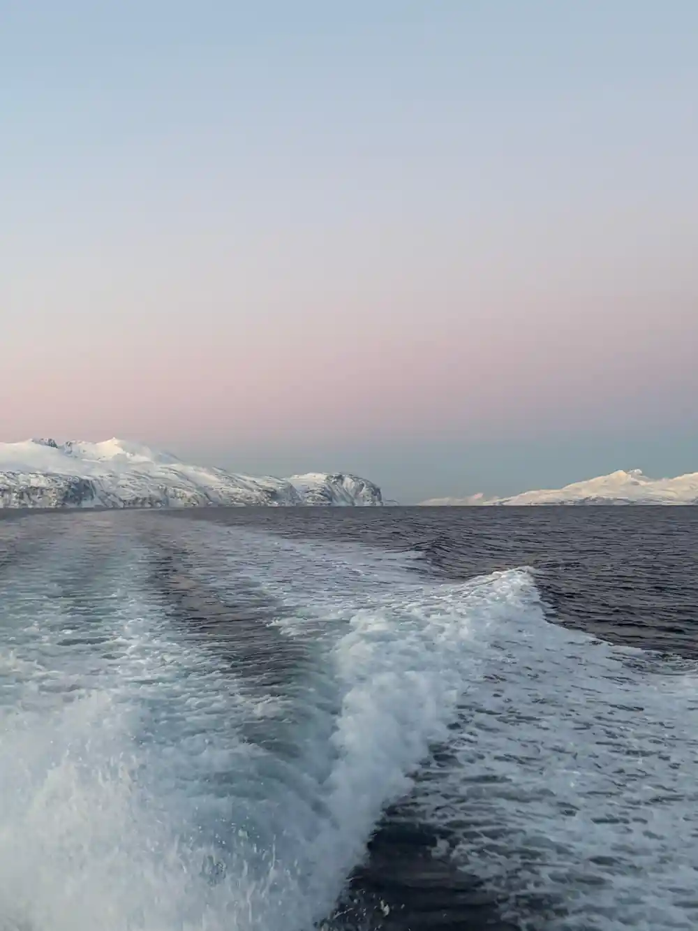 The wake spreading behind the boat under a pink sky