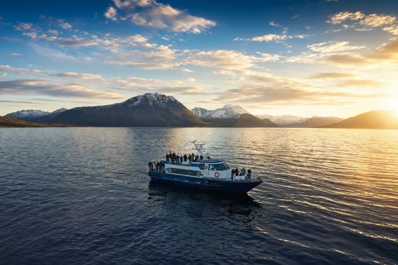 Tromsø Whale & Orca Safari - All-Inclusive (Max 50 pax)
